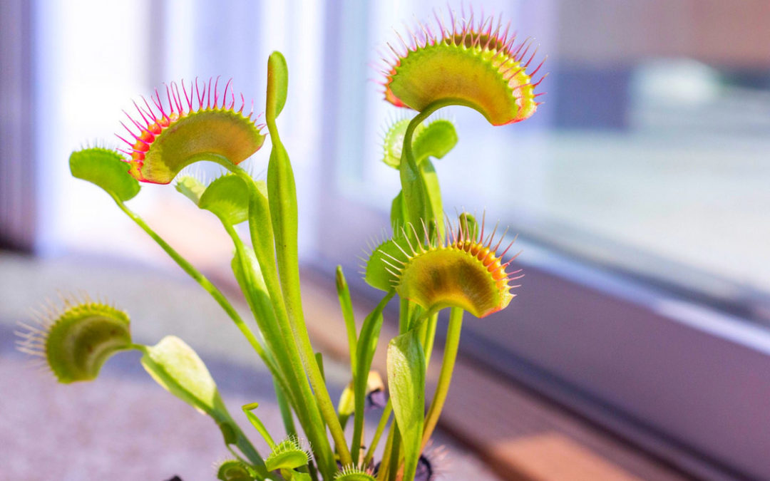 5 Common Credit Card Traps