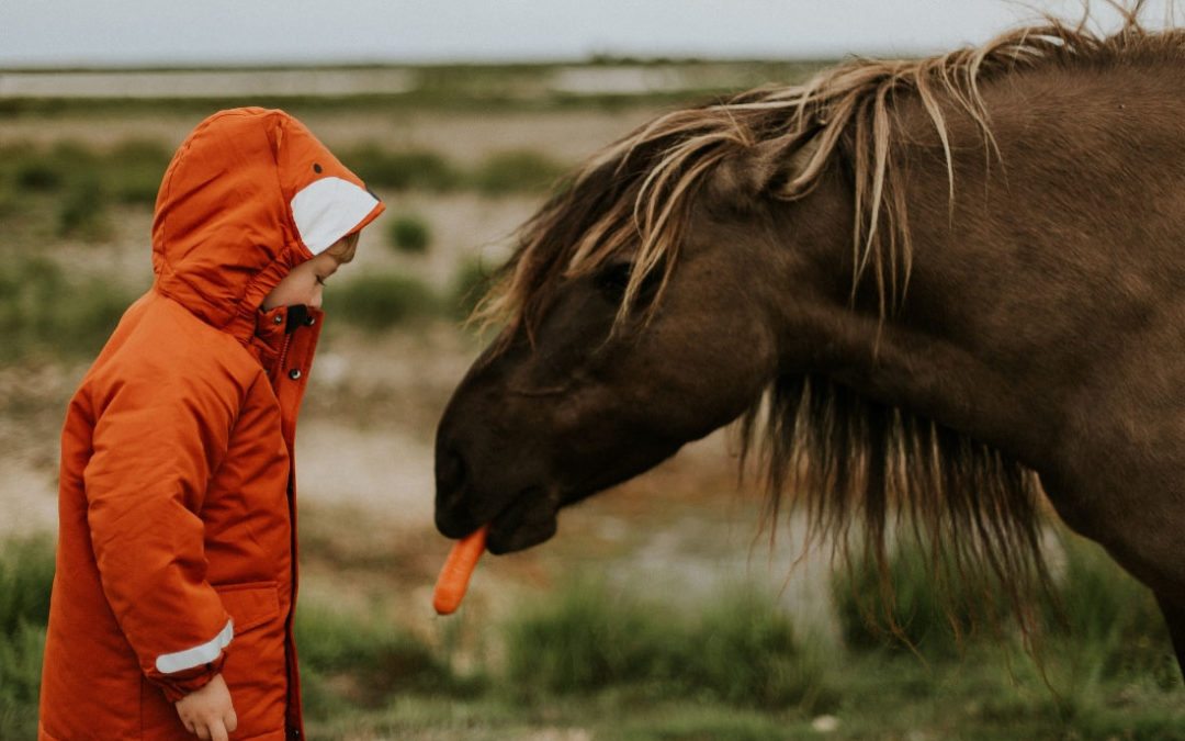 More carrot, less stick: Comprehensive Credit Reporting