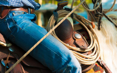 Property round up: NSW overhauls stamp duty, NAB increases rates