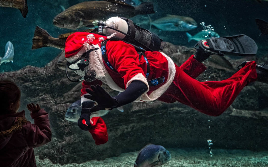 Don’t dive into credit card debt this Christmas