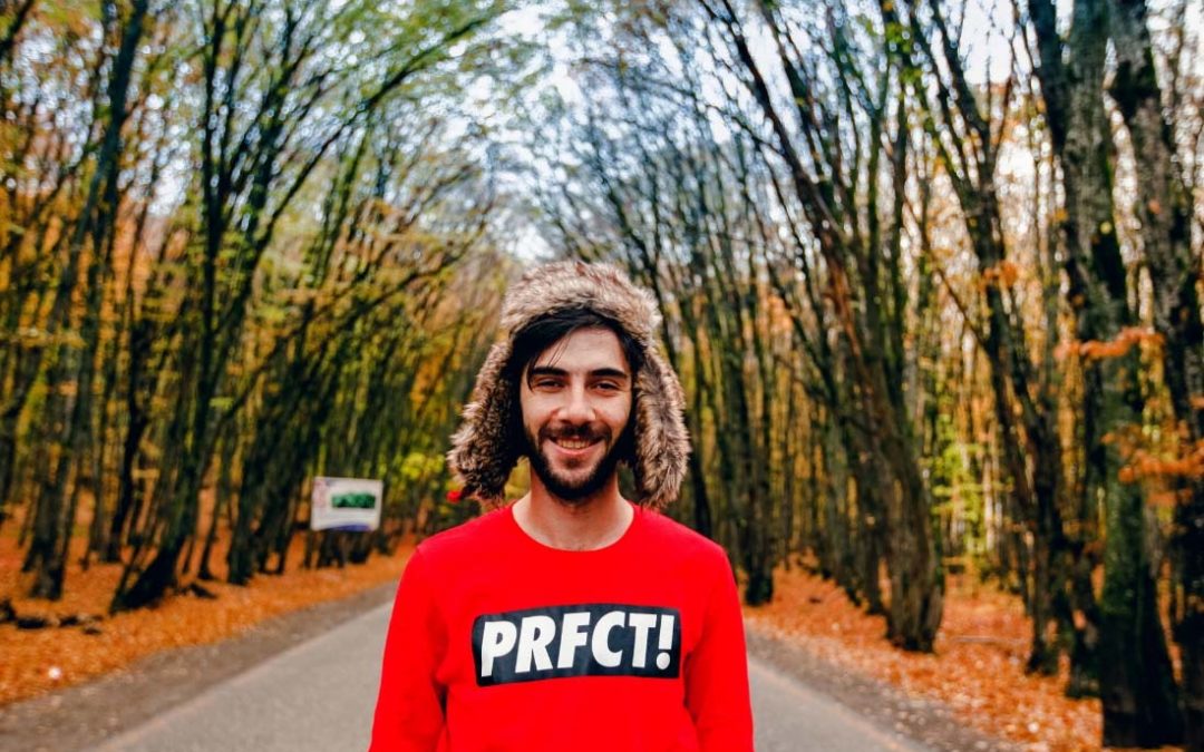 Your home is not perfect: the value of pest and building inspections