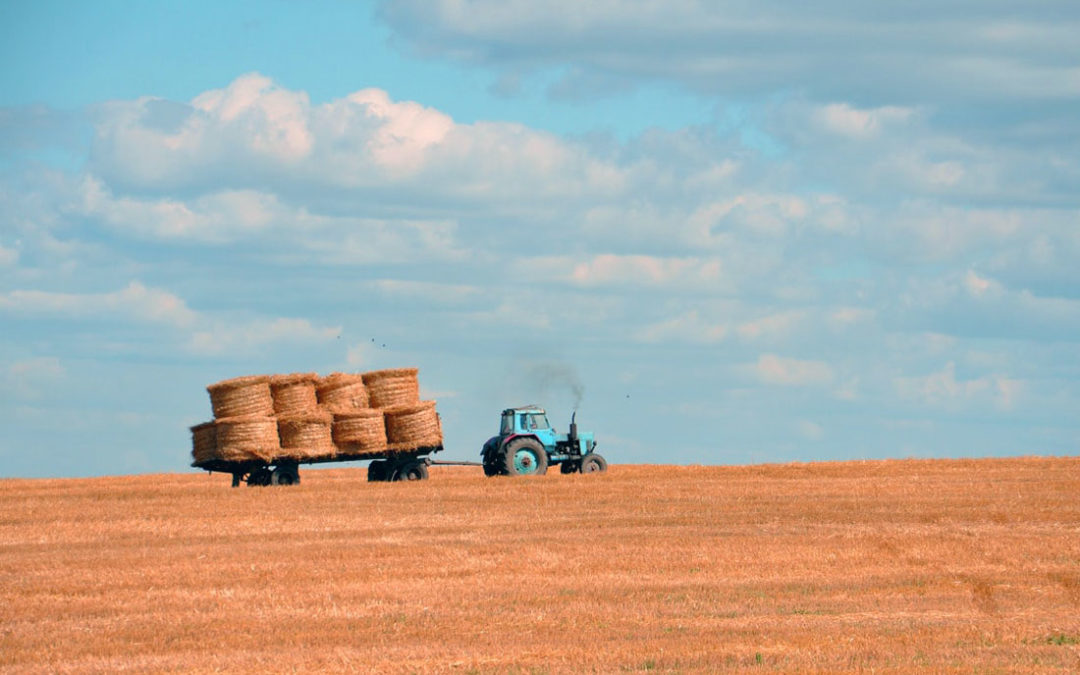 Making the most of the instant asset write-off before the EOFY deadline