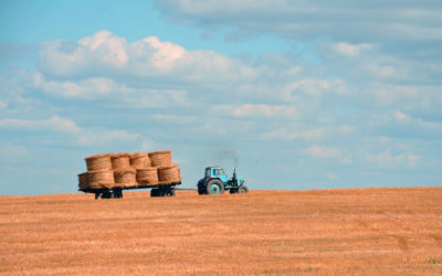 Making the most of the instant asset write-off before the EOFY deadline