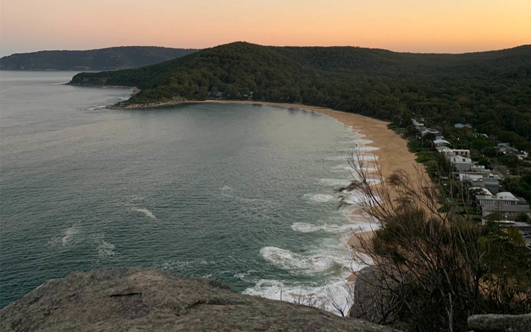 How did your suburb fare during the COVID-19 crisis?