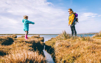 Homeowners Refinancing in Record-High Numbers: Explore Your Options