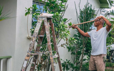 Best Aussie Suburbs to Find a “Renovator’s Dream”