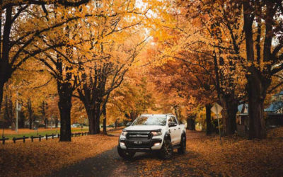 Landscaping Tips to Make Your Property More Attractive