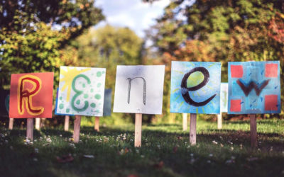 Bank Loyalty Can Cost Existing Borrowers: ACCC Report