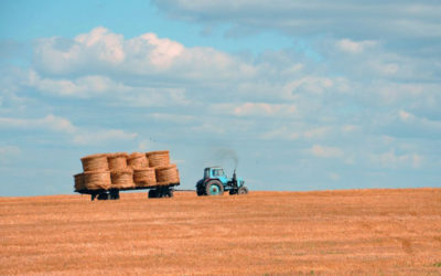 Making the Most of the Instant Asset Write-Off Before the EOFY Deadline